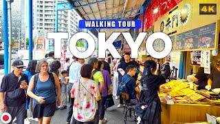 картинка: Токио ЯПОНИЯ - Внешний рыбный рынок Цукидзи 4K Walking Tour