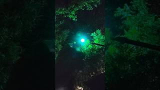 Light Color Change Fail 😤 | Why It’s Not Working?