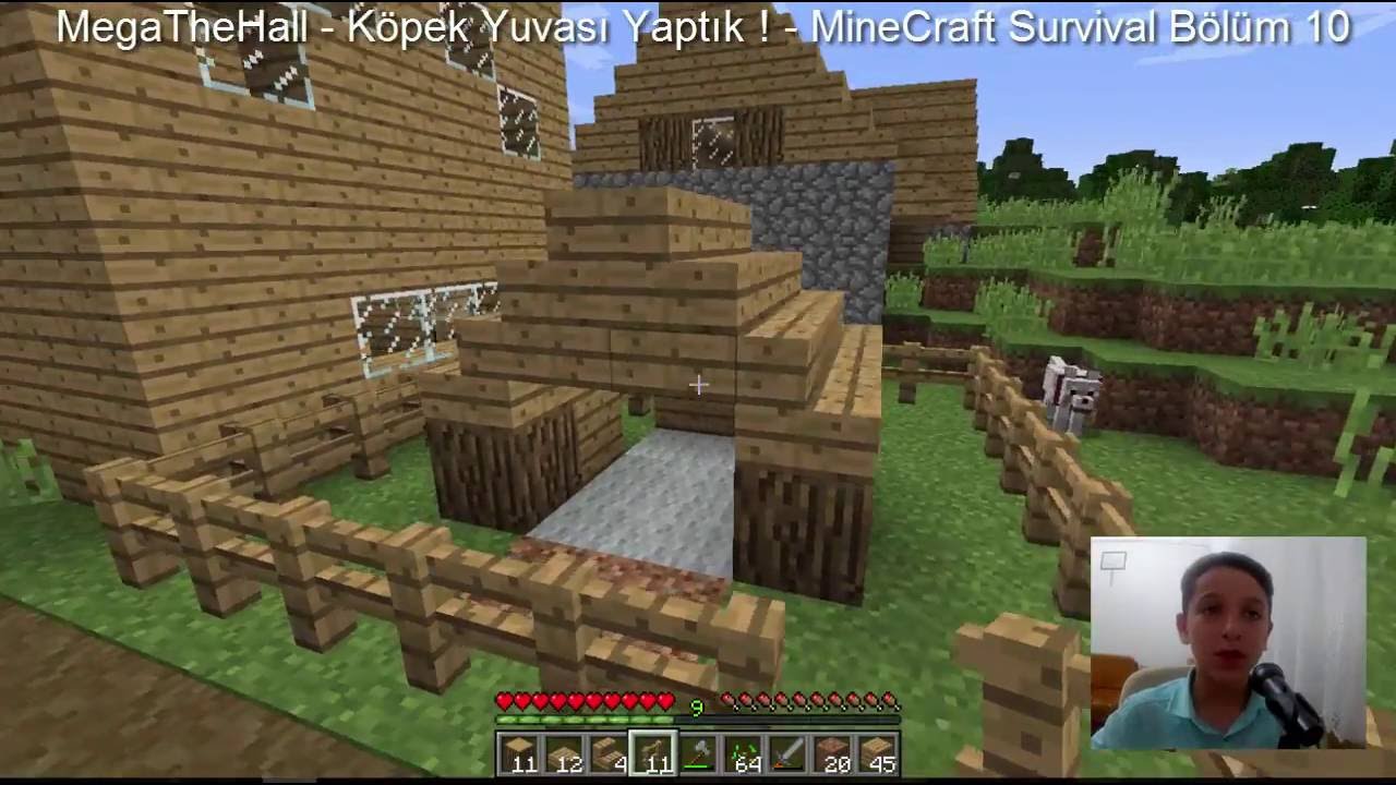 minecraft köpek kulübesi