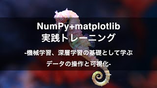 【プロモーション動画】NumPy+matplotlib実践トレーニング -Udemyコースを一部無料公開- #airslab