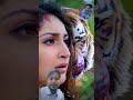 Tiger revenge #tiger #amazingfacts #factsinhindi #animals #art #explore #funny #diy #animation