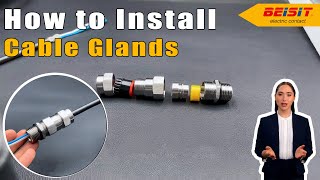 How To Install Cable Glands Correctly? Everything You Need To Know Step By Step