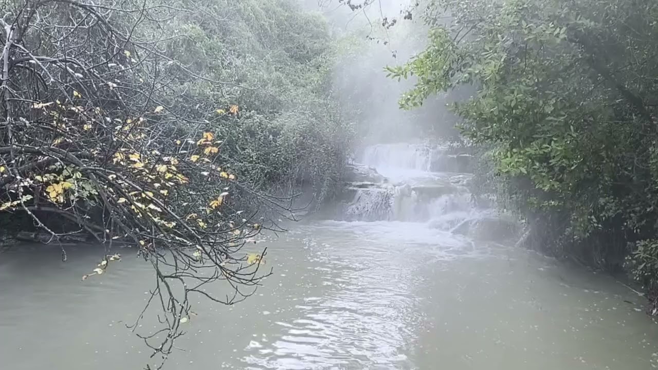 רכיבה ביער הזורע 