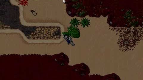 Tibia   hunting Draggys and DL