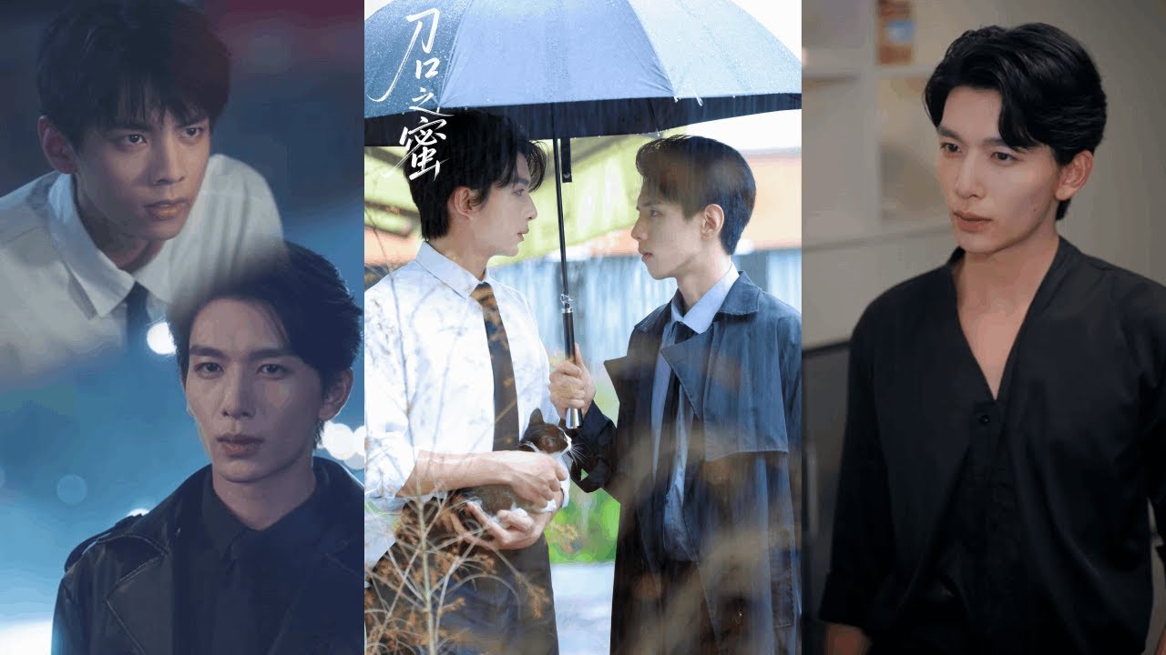 【完整版】刘晏辰&王年将成《刀口之蜜》白切黑养成系狼狗VS美强惨掌权者，你把我拉进地狱的，没有我你休想离开！#短剧 #完結 #蔓蔓書屋 #大结局