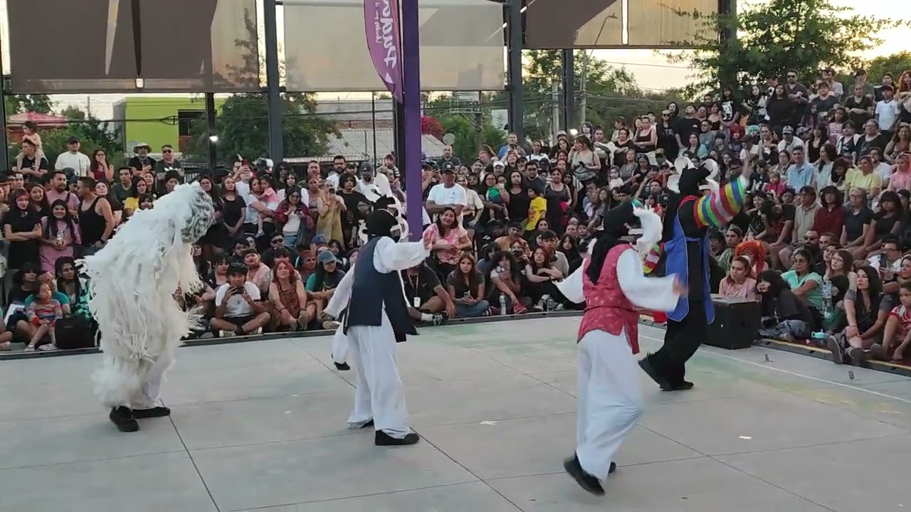 TEATRO A MIL 2026 : TR Edition: Life is but a dream -  