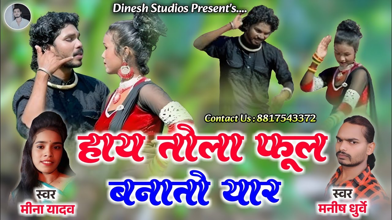 हाय तोला फूल बनातो यार Hay Tola Fool Banato Yar / Manish Dhurve, Meena Yadav Cg Song