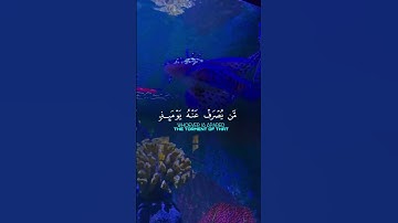 تلاوة عطرة لآيات من كتاب الله #القرآن_الكريم #القرآن #الله #اكسبلور #foryou #راحة_نفسية #viral #fyp#