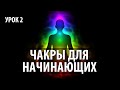 #ЧАКРЫ ДЛЯ НАЧИНАЮЩИХ. Видео Уроки По Чакрам. Урок 2. #Муладхара - #Анахата