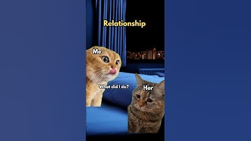 Thumbnail of 2 Cat talking Memes #cat #catmemes #katze #chat #gatos #funny