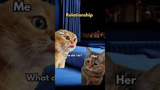 2 Cat talking Memes #cat #catmemes #katze #chat #gatos #funny