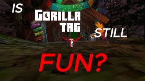 I interviewed Gorilla Tag players.... (Is gtag fun pt2?)