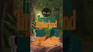Botas Timberland