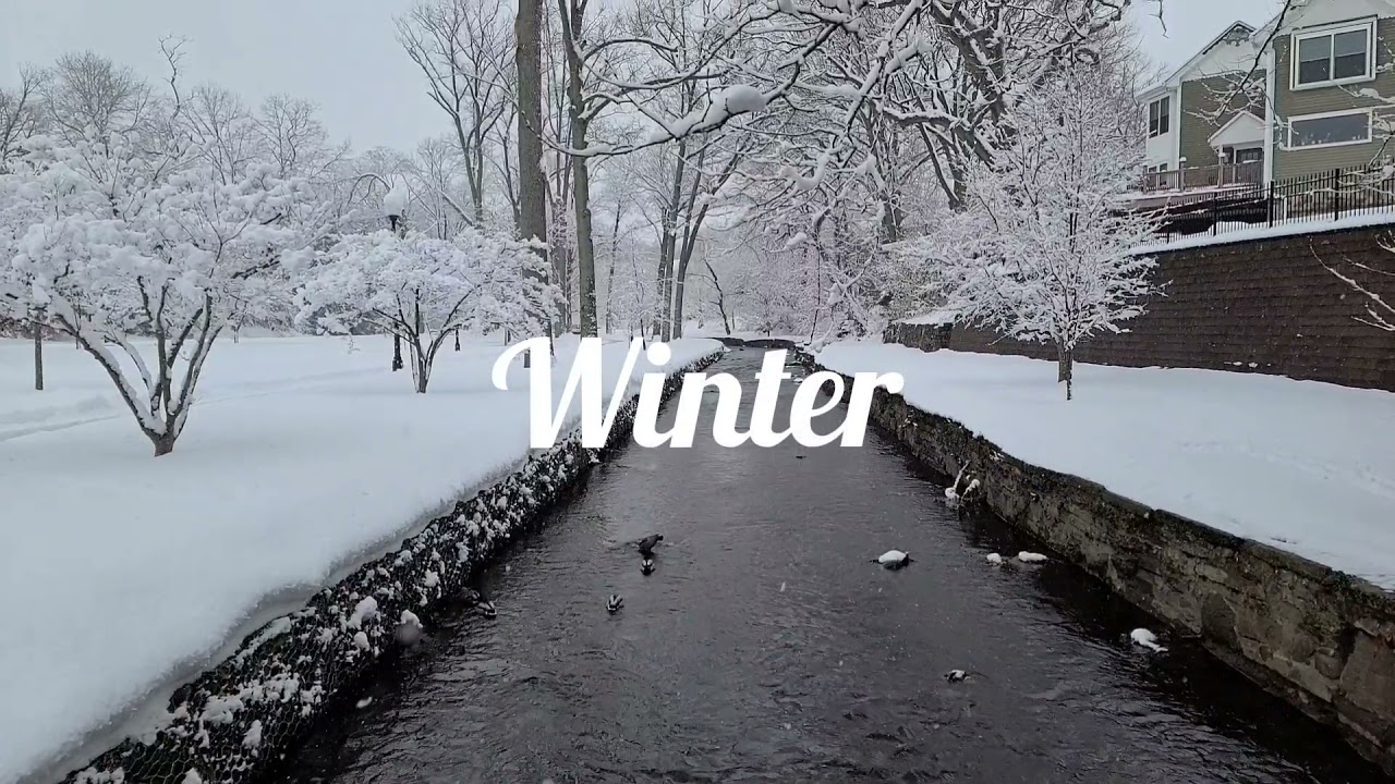 Nutley through the seasons