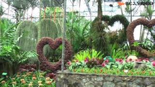 Orchid Garden