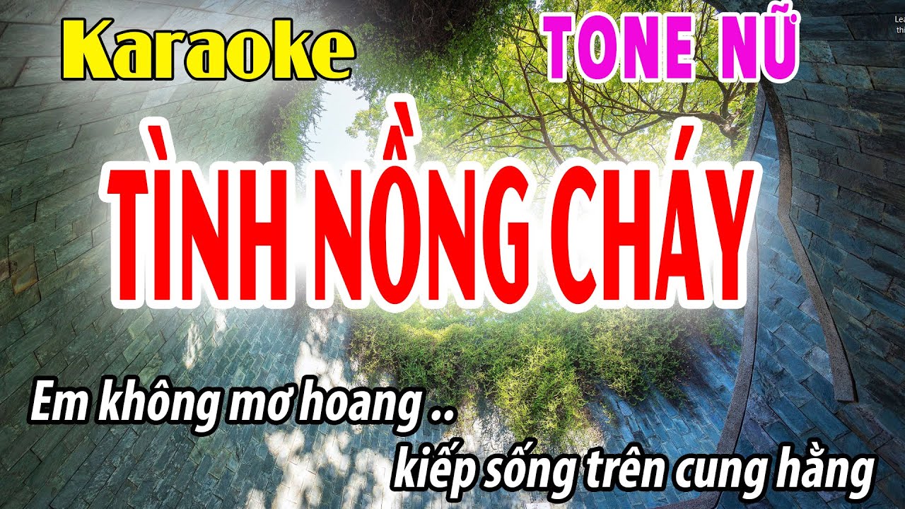 Tình Nồng Cháy Karaoke Tone Nữ | Gm | Đời Sống và Âm Nhạc