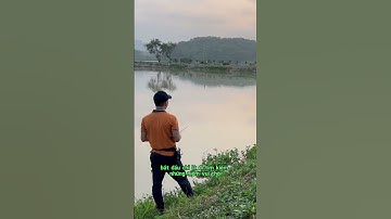 Đam mê câu cá #caucaedu #cauca #caucagiaitri