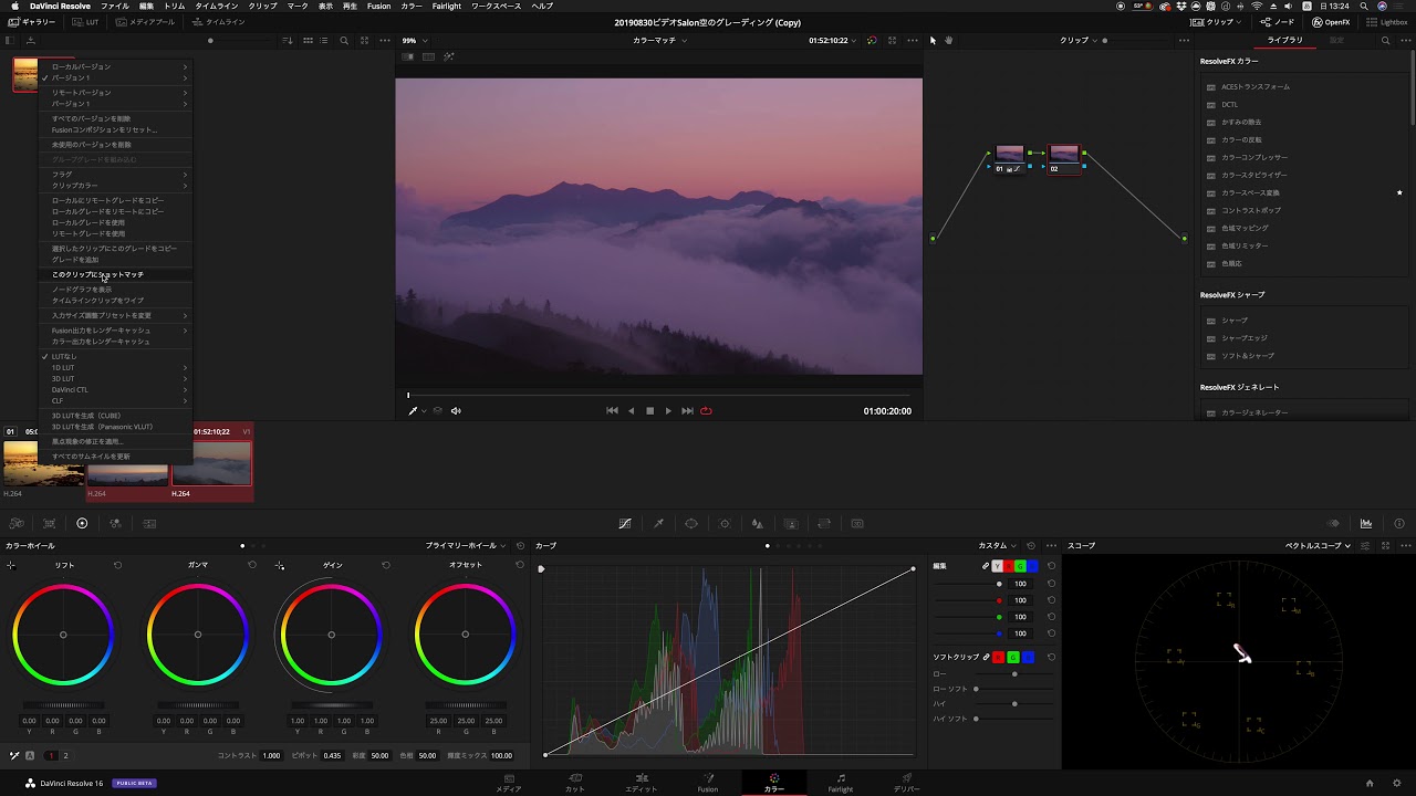プロが教えるカラーグレーディング 作品世界の雰囲気を決める各種エフェクトを使いこなそう カラーグレーディングワークフロー シネマカメラ 第2回 Pictures