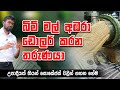 බිම් මල් අඹරලා ඩොලර් කරන තරුණයා - Mushroom Sausages Making in Sri Lanka