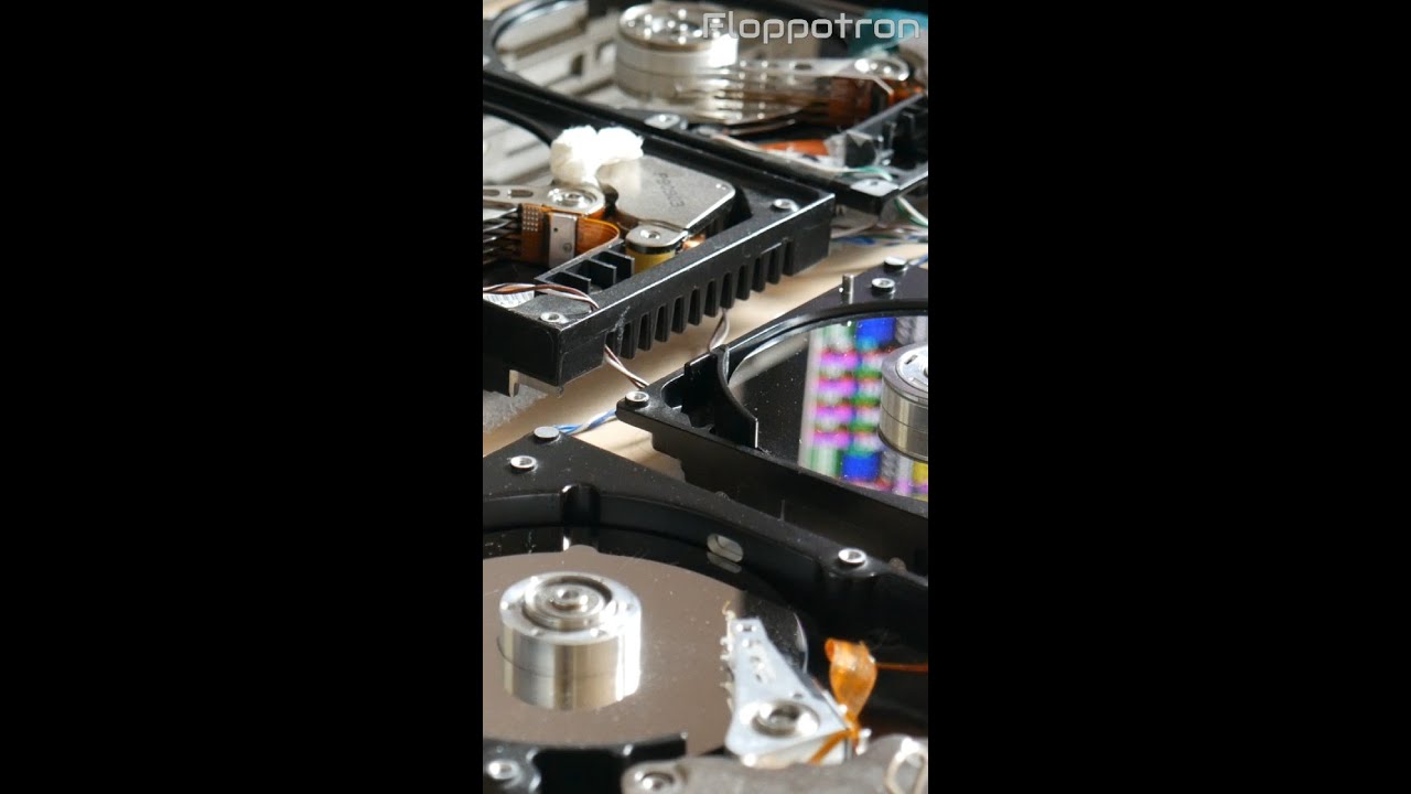 Sweet Dreams - Floppotron Flashback #shorts auf YouTube ansehen Sweet Dreams - Floppotron Flashback #shorts auf YouTube ansehen