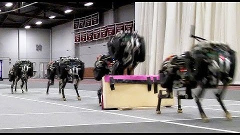 MIT cheetah robot lands the running jump