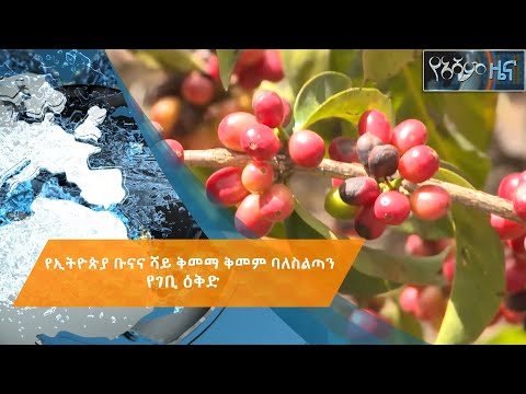 ቪዲዮ: የአዲሱ የቻይና አውሮፕላን ተሸካሚ “ሻንዶንግ” የትግል ችሎታዎች