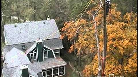 Knotless Rigging & Speedline