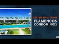 Sintete como en el caribe flamencos condominios