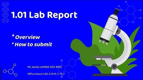 Bio: 1.01 Practice Writing a Lab Report overview