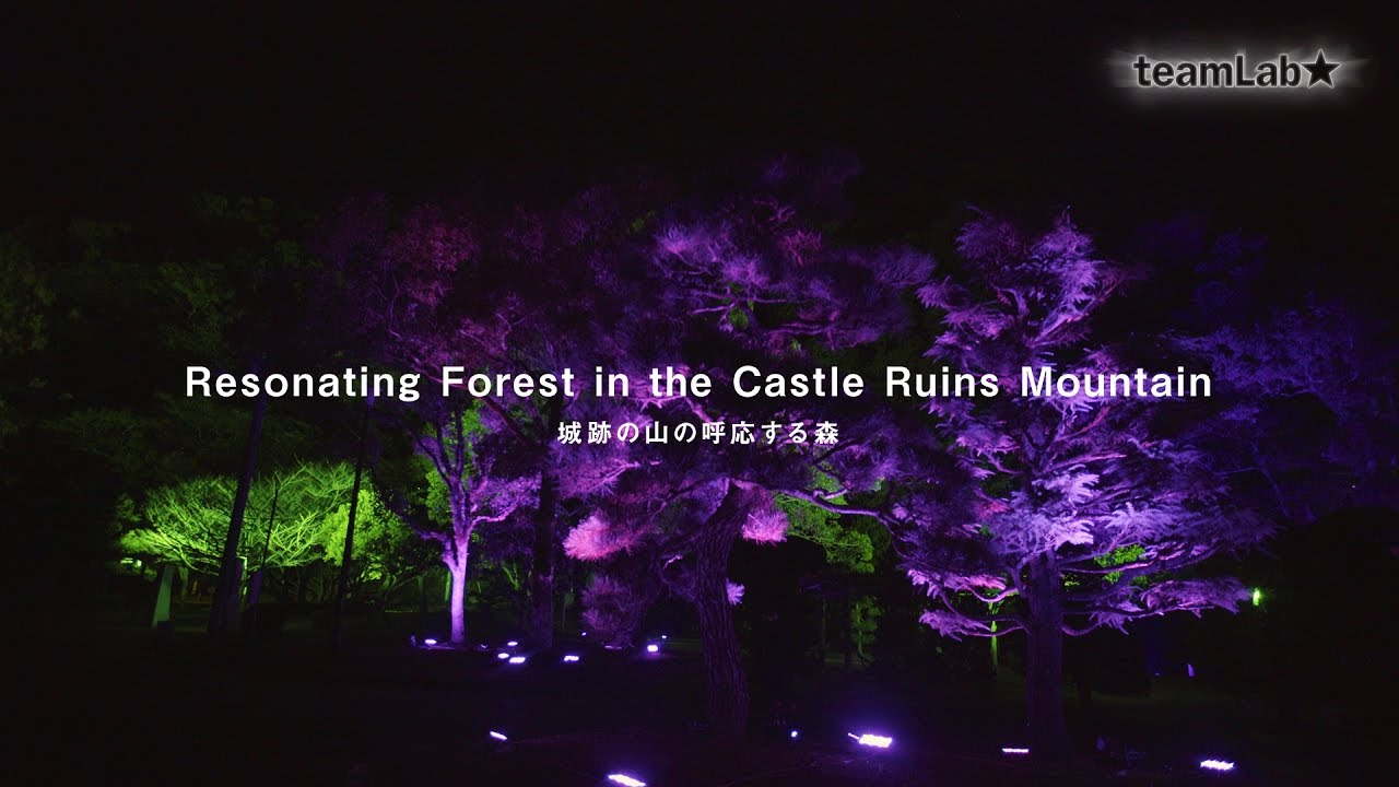 Resonating ​Forest​ in the Castle Ruins Mountain / 城跡の山の呼応する森