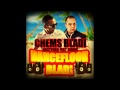 Chems Bladi Cheb Didine Feat Nastynas