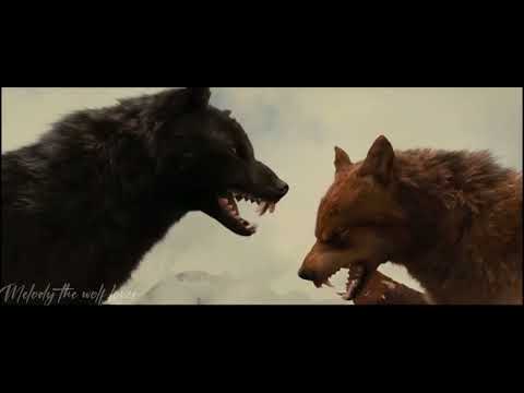 Twilight wolves &eddie munson-superhero