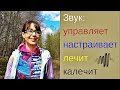 Про звук. Очень интересные факты.