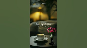 وعسى ان تكرهوا شيئا وهو خير لكم  [قران _quran قرآن بصوت جميل_quran karim قرآن كريم