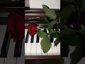 داریوش داریوش اقبالی داریوش بزرگ نوید نوید رضایی وعده ی ما لب دریا آهنگ ایرانی 