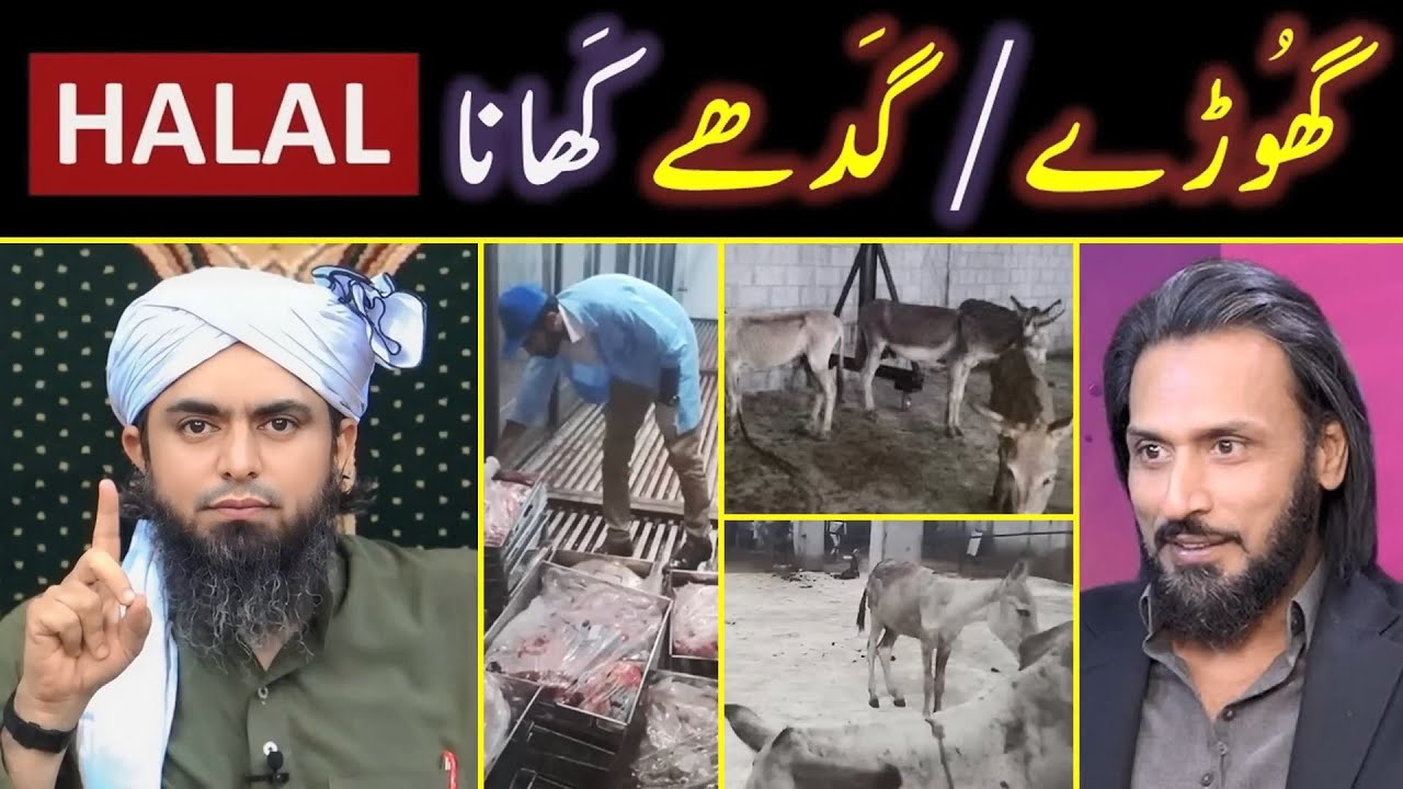 Donkey Meat Scandal - Reply to Sahil Adeem on Halal  Haram - Engineer Muhammad Ali