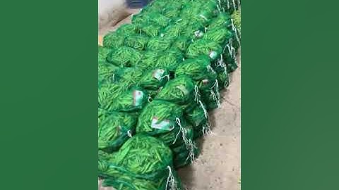 14-01-2024, Fresh Green Peas, Sorting and Packing Process for Export from Imran Traders Shujabad.
