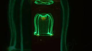 Hydrozoan - Mutation #science #species #mutation #youtubeshorts