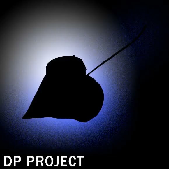 DP Project - organz - YouTube