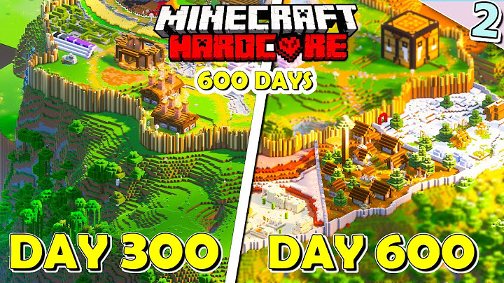 I Spent 300 Days in Minecraft Hardcore