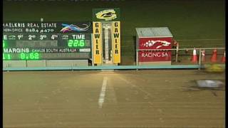 Gawler-05062016-Race-6