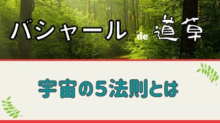 【バシャール】「宇宙の５法則」岩瀬アキラさんによるライブセミナーを見てゆるっと語ってるってばよ！お葬式のところではなしたよね、お祝した方が良い‼って。