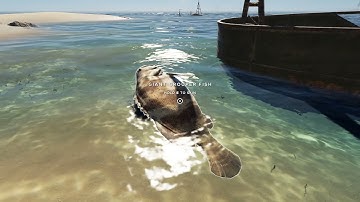 Some stranded deep glitches