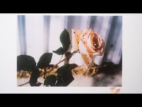 8. VND -