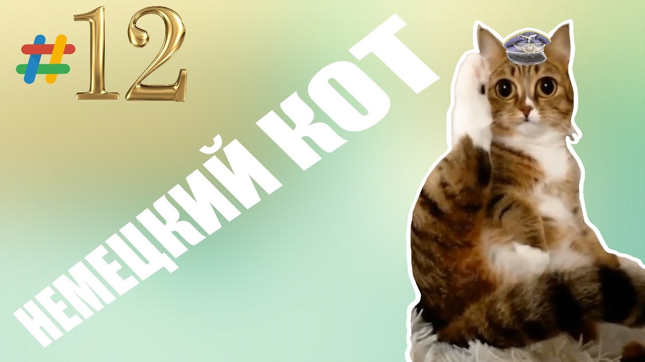 Кот по немецки