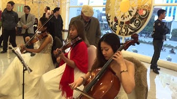 Cho thuê ban nhạc cổ điển , dàn dây tam tấu tứ tấu hotline 0977998241