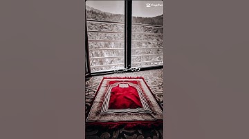 تلاوة خاشعة لفضيلة الشيخ وديع اليمني