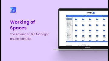 Overview of Document Management Functionality in a Logistics Management Software - Bridge LCS