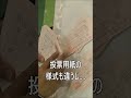 名前を書けない票しかない！