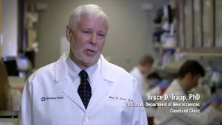 Microglia Helps Benefit Injured Brains